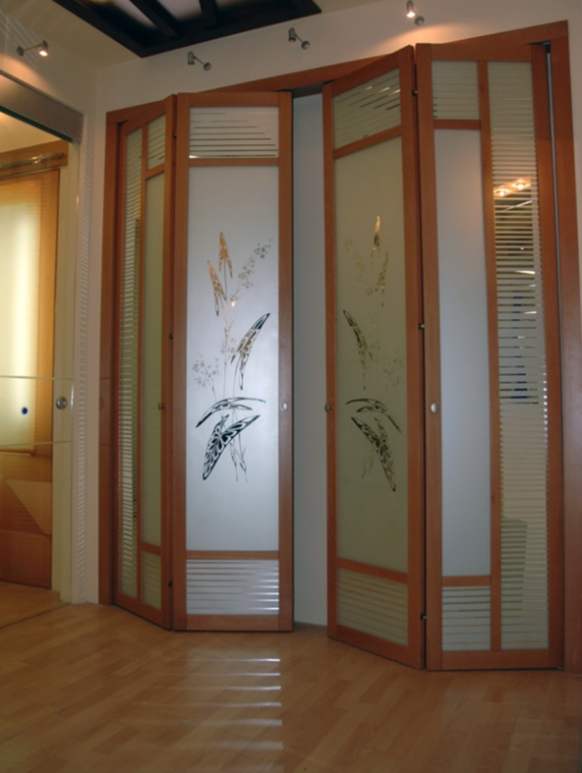 Широкие двери гармошка с матовым стеклом и рисунком Гомель